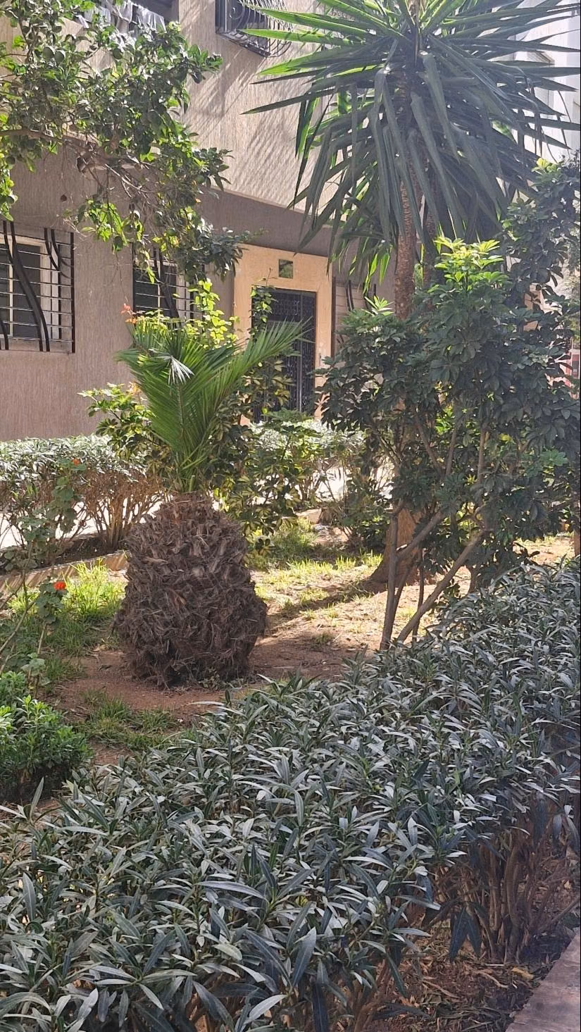 Appartement à vendre 83m² à Mohammedia
