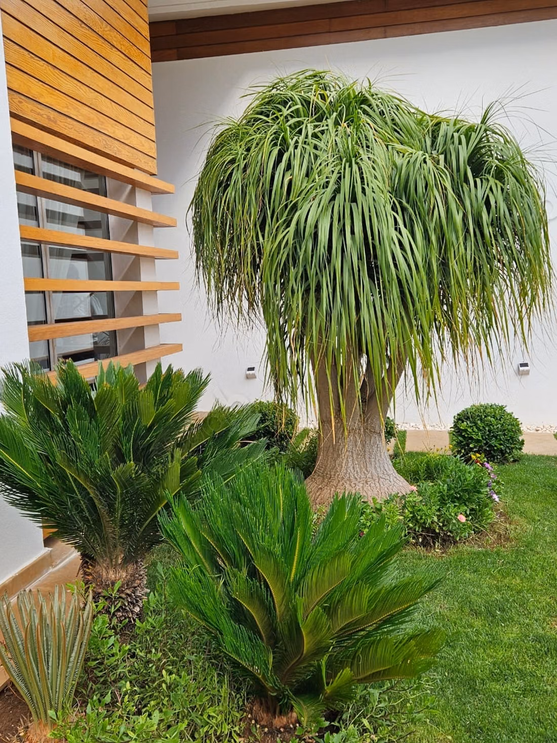 Luxury villa for sale CGI BOUSKOURA 1300M²
