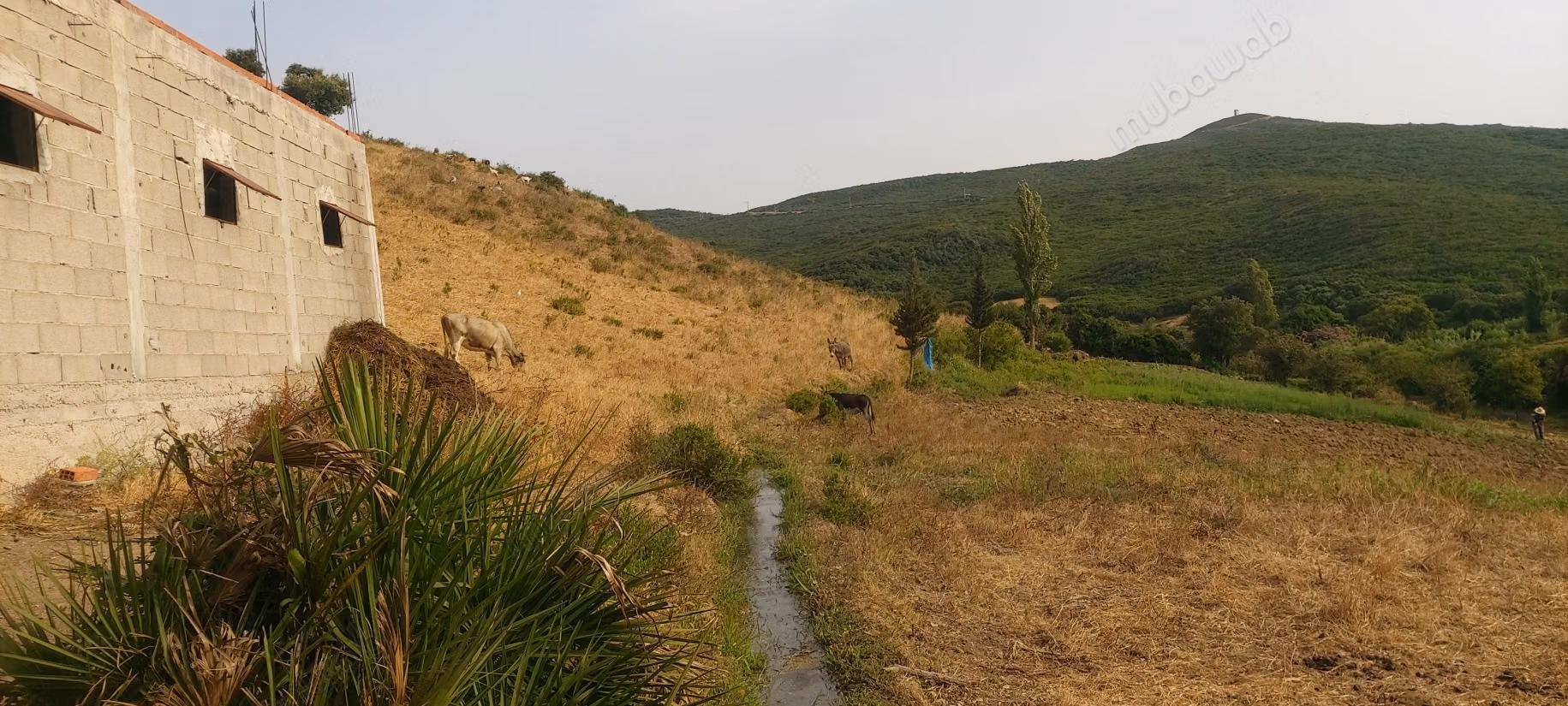 Beau terrain à la vente à Ksar Sghir. Surface totale 27738 m²
