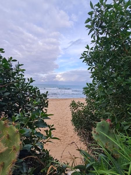 Location bel appartement s2 meublé marsa corniche