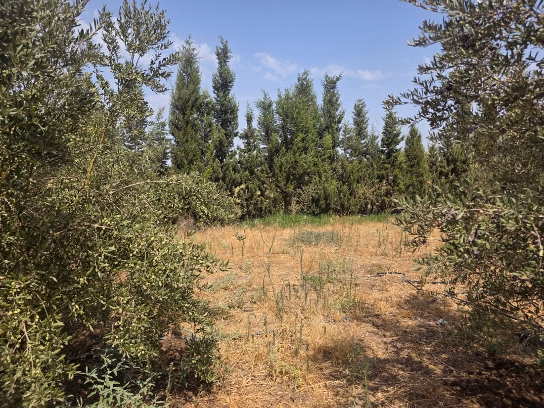 A vendre magnifique domaine agricole de 2 hectares