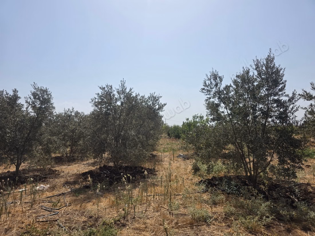 A vendre magnifique domaine agricole de 2 hectares