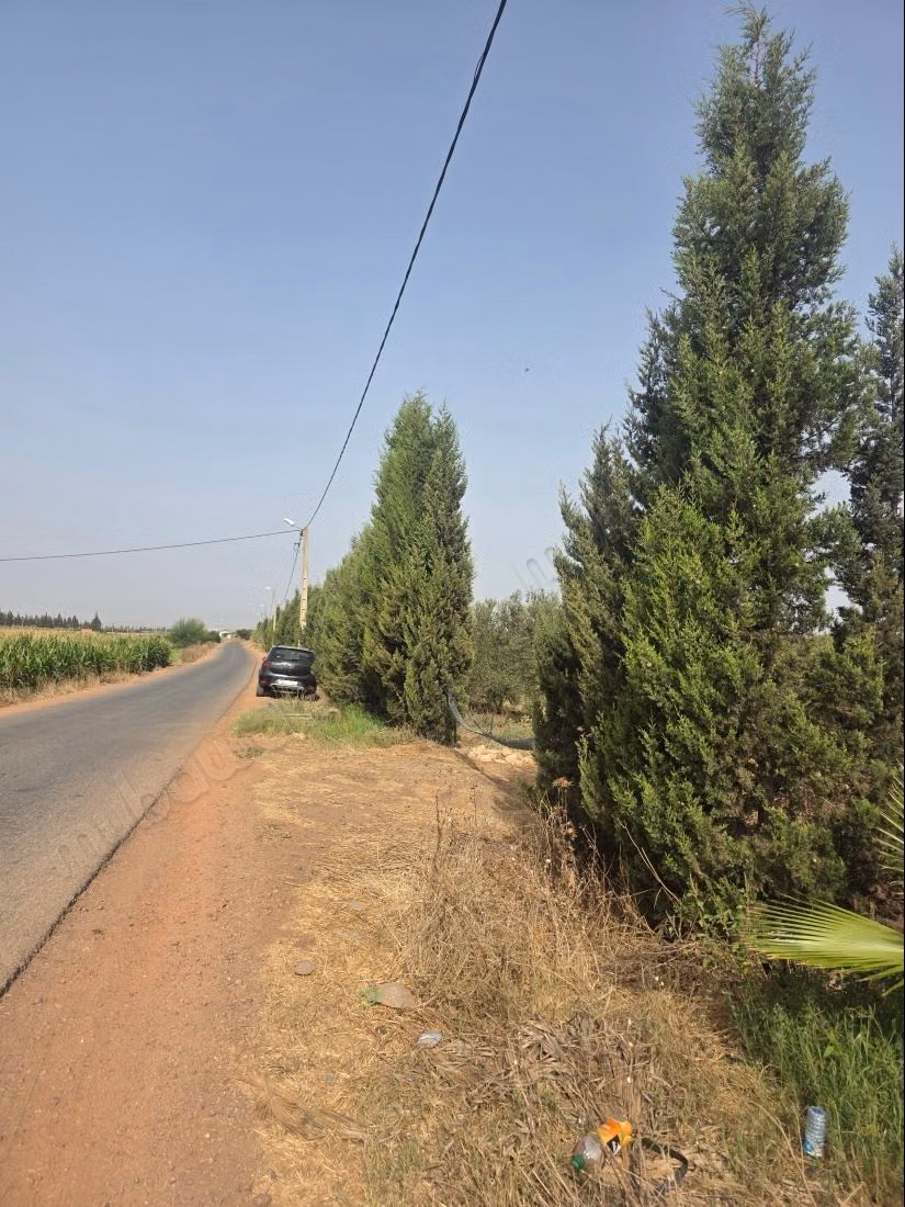 A vendre magnifique domaine agricole de 2 hectares
