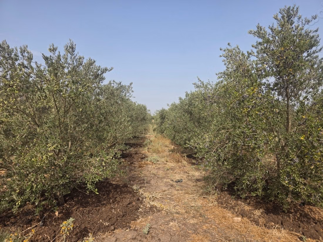 A vendre magnifique domaine agricole de 2 hectares