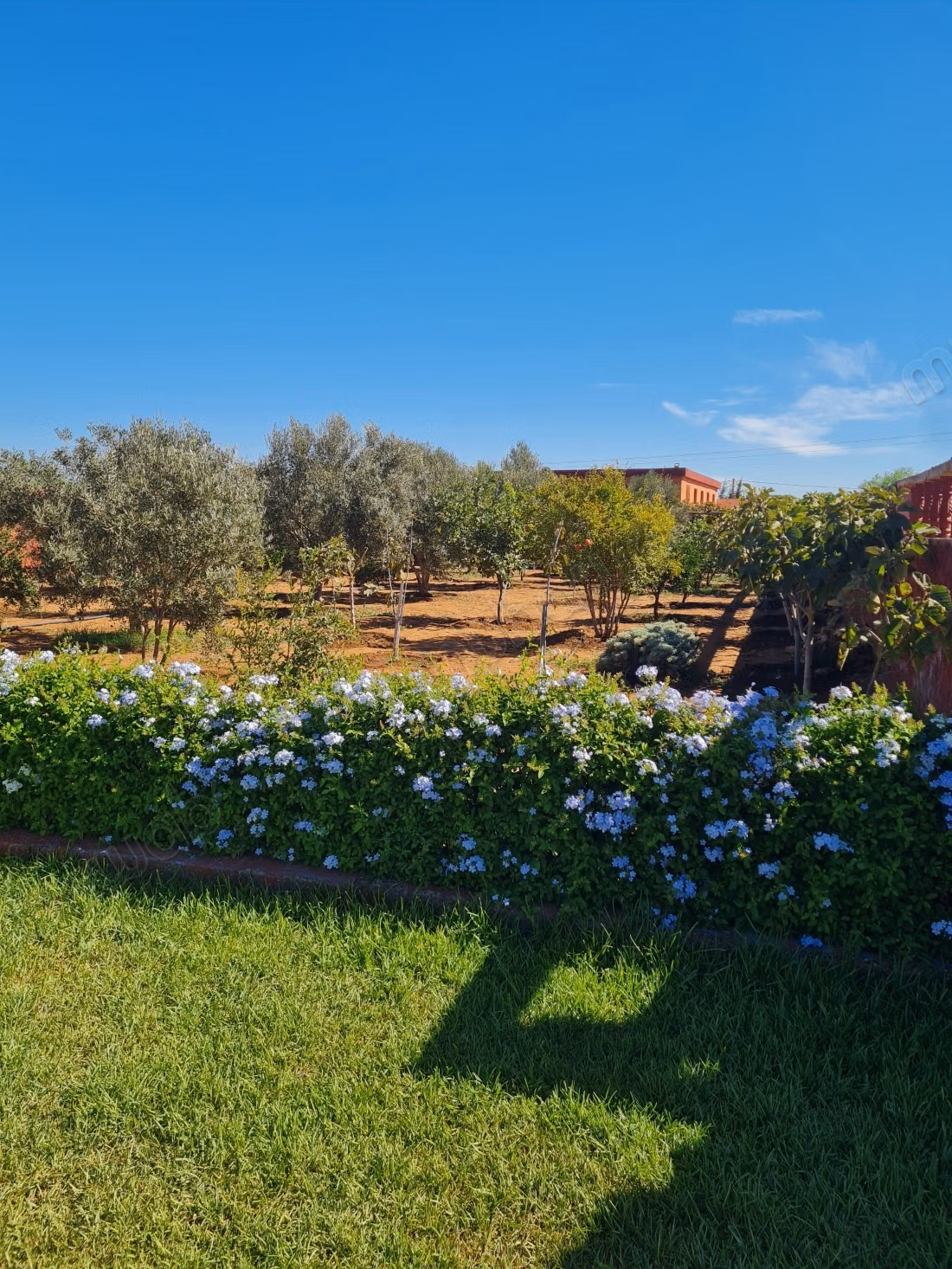 Ferme d'exception 1 hectare avec villa et piscine