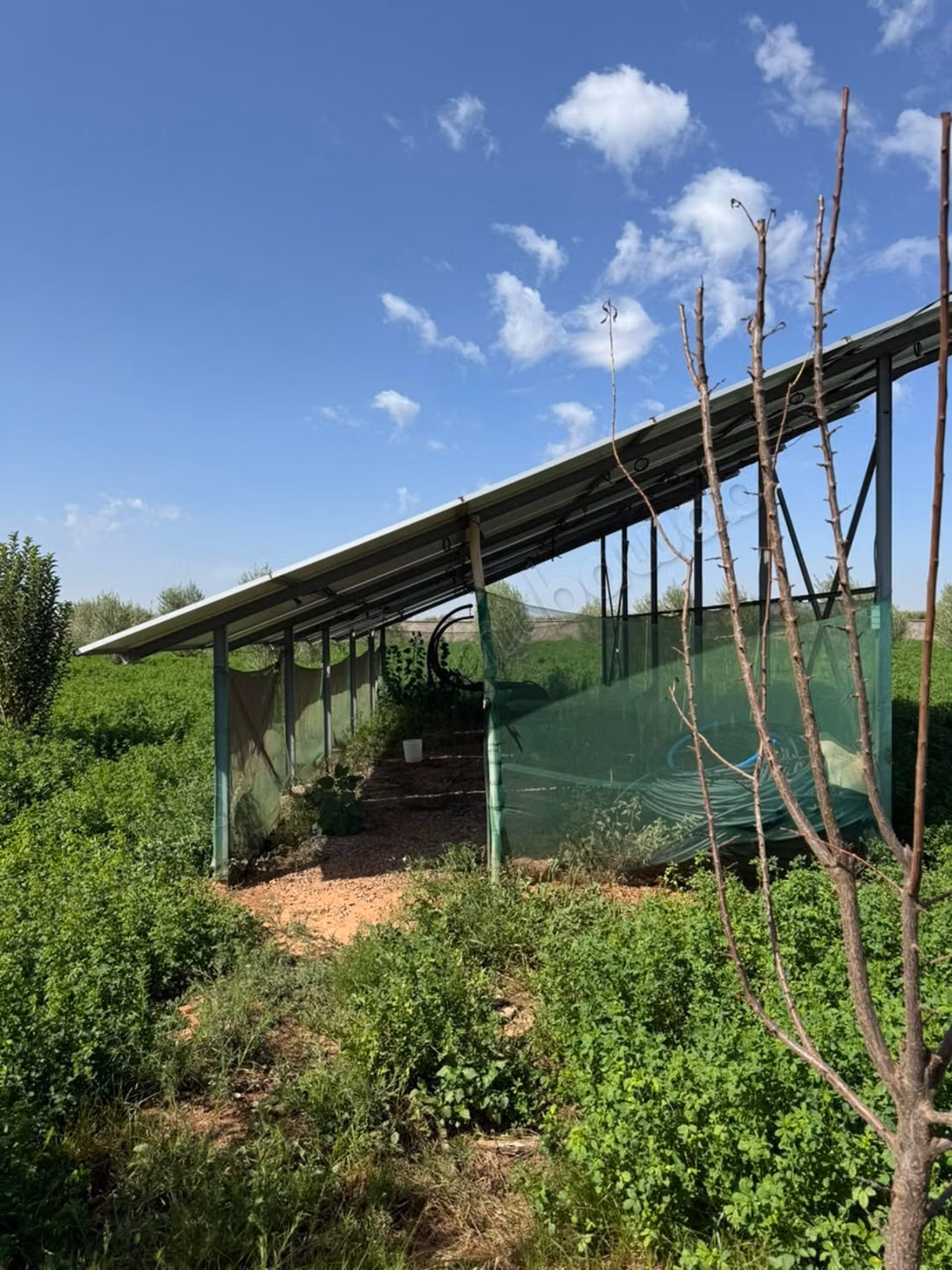 Ferme d’un hectare à vendre – Sidi Abdellah Ghiat, Km 23
