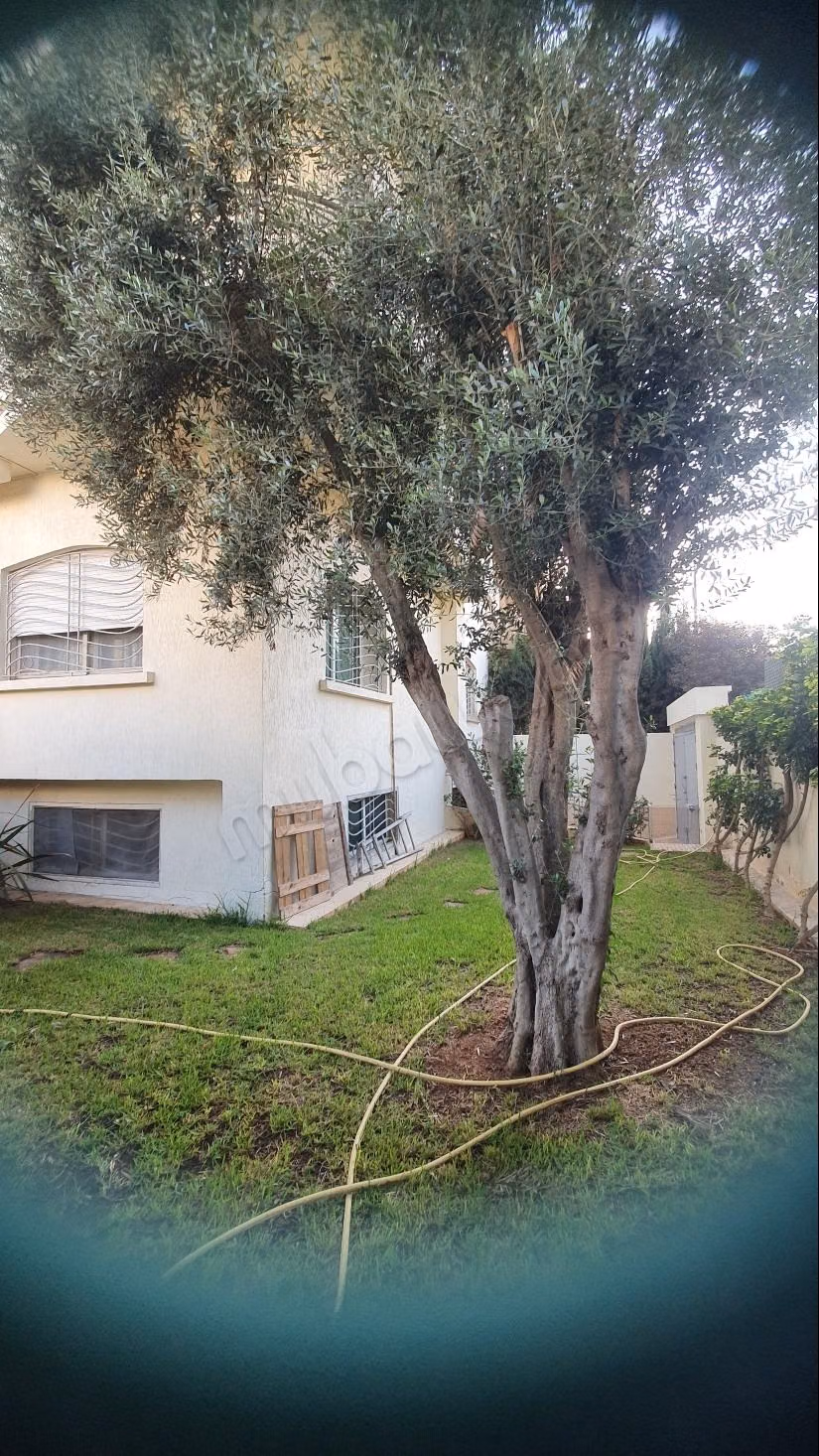 Magnifique villa à vendre à sidi maarouf