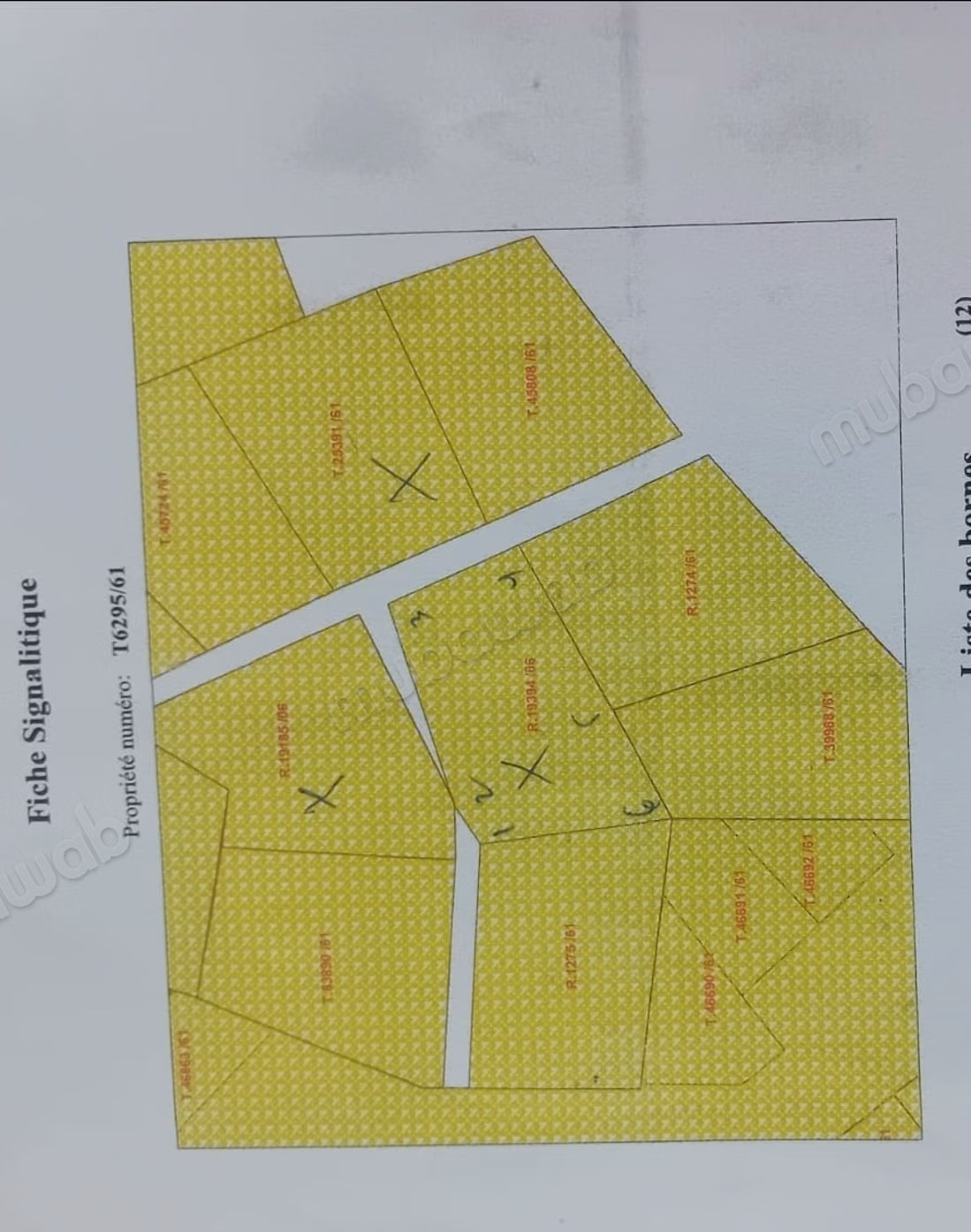 Trois terrains à bâtir à Tanger Aharrarine, proche Stade – 1 471 m²
