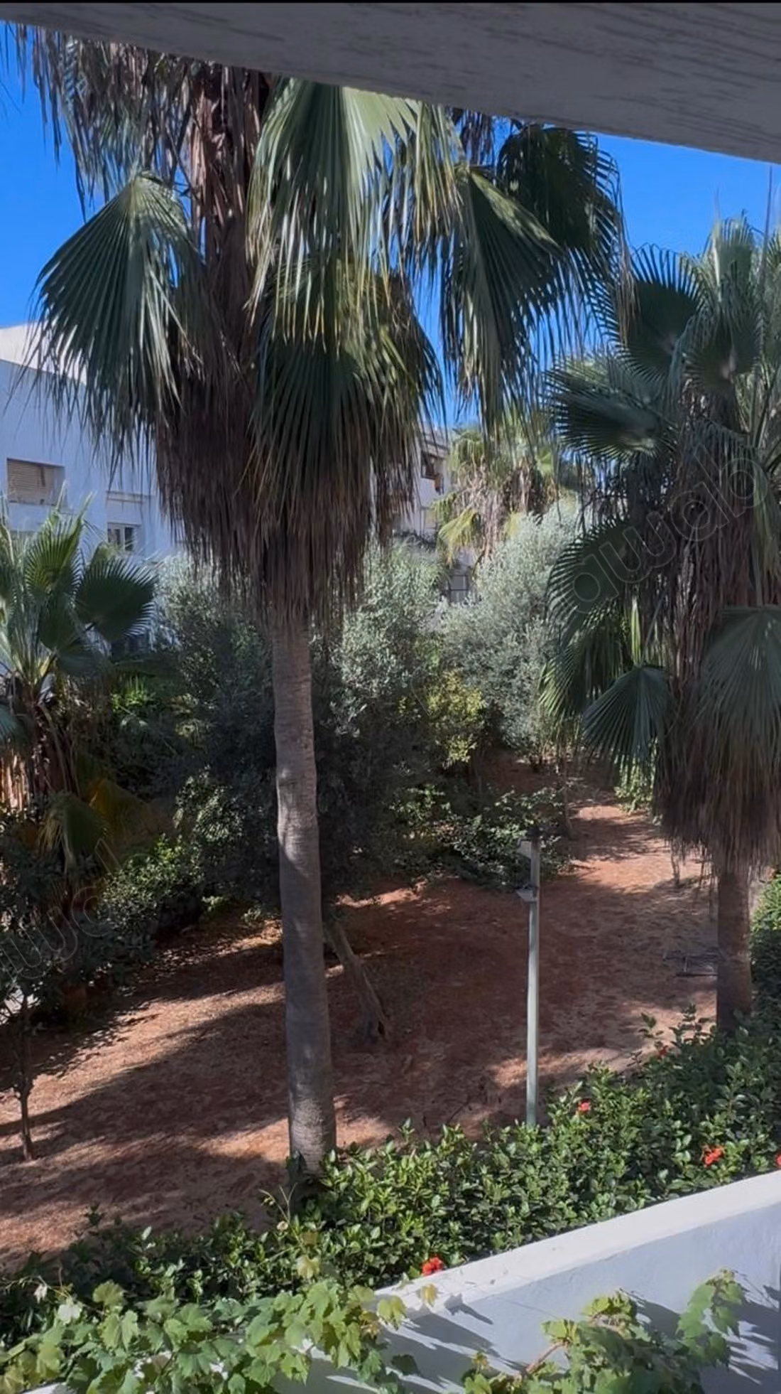 Mooie appartement te huur in Hay Al Fath. 3 comfortabele kamers. Versterkte deur en beveiligde residentie