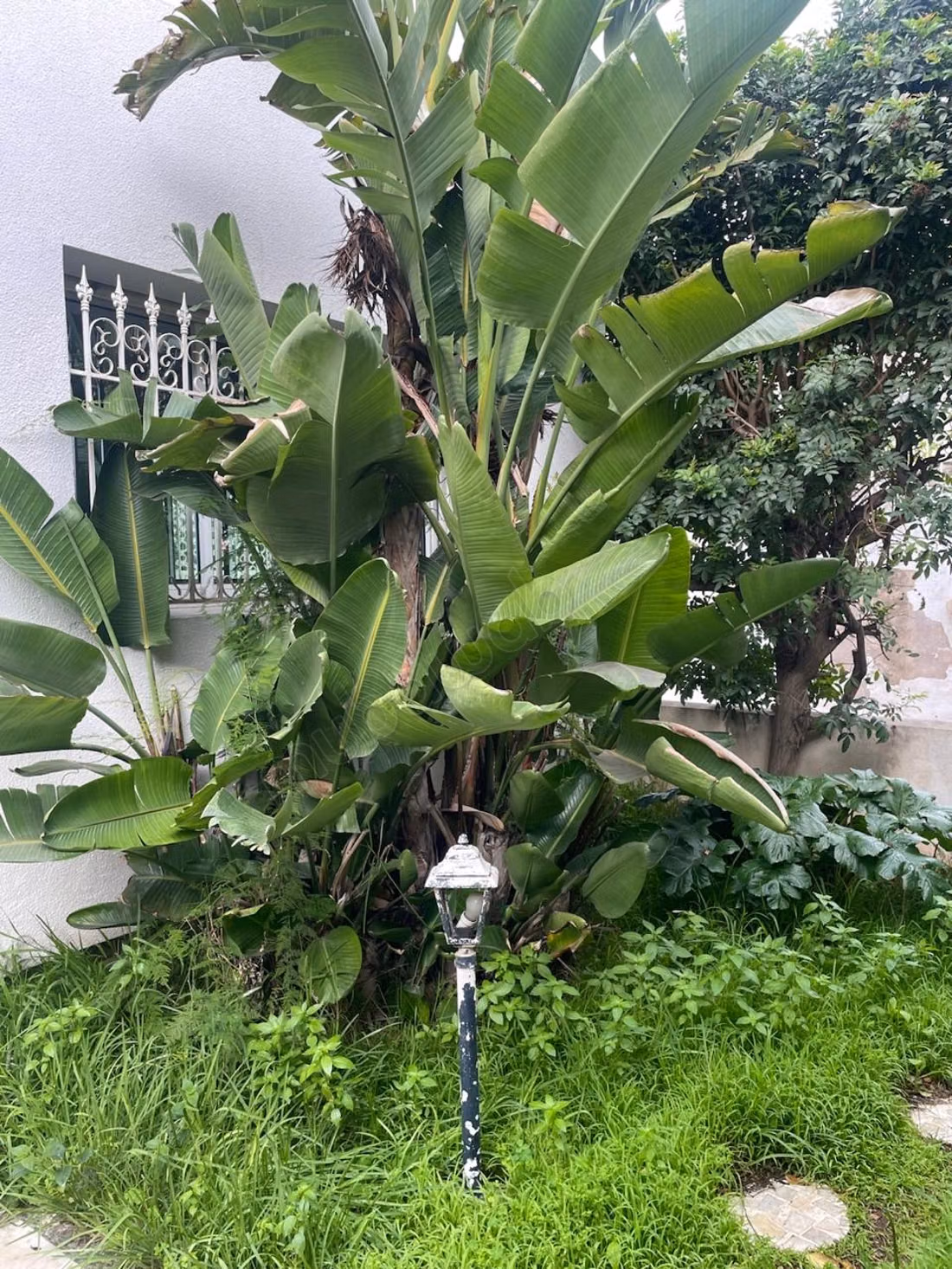 Villa en venta en Casablanca - Sector CIL