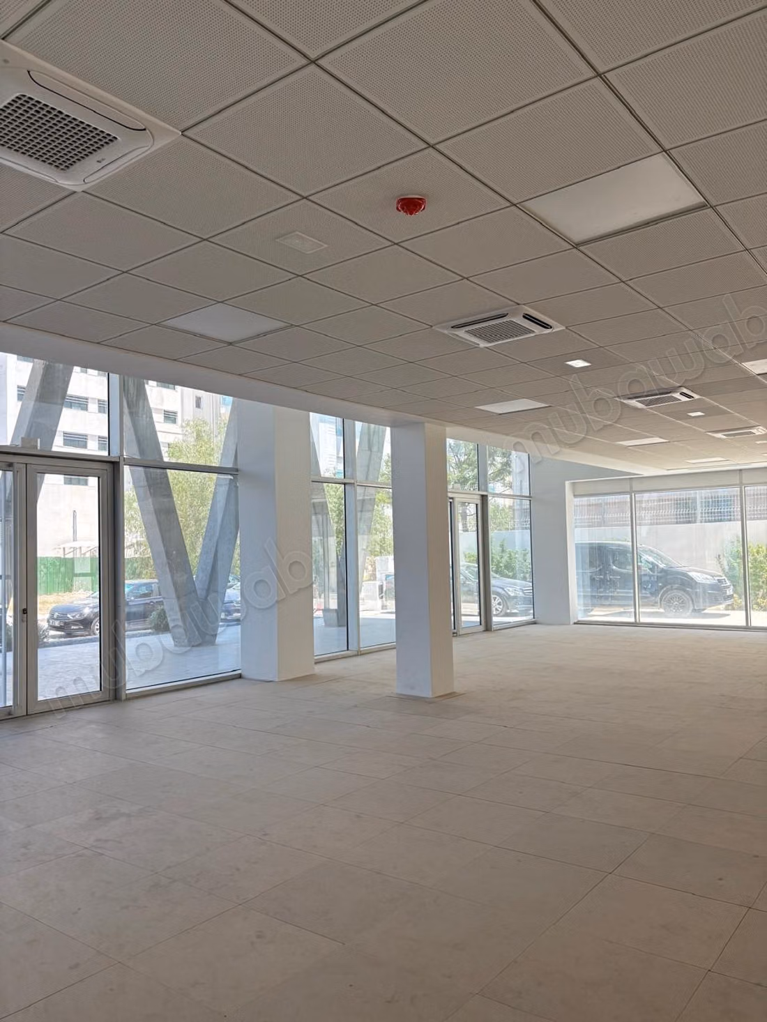 Exclusive Commercial and Office Building LAC 2