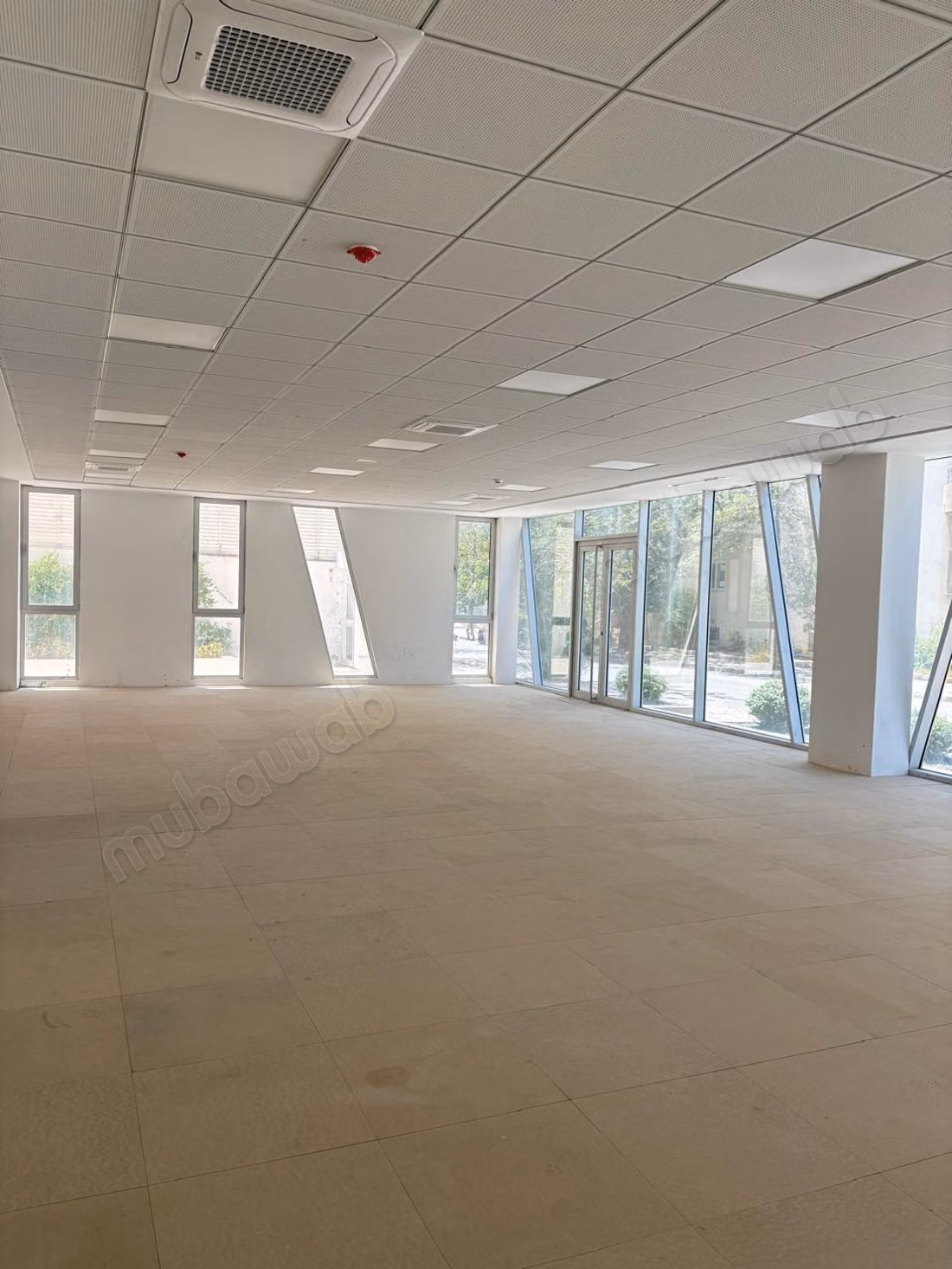 Exclusive Commercial and Office Building LAC 2