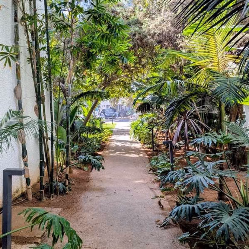 Apartamento en Alquiler de 168.0 m² en Casablanca, Bourgogne Sidi Belyout