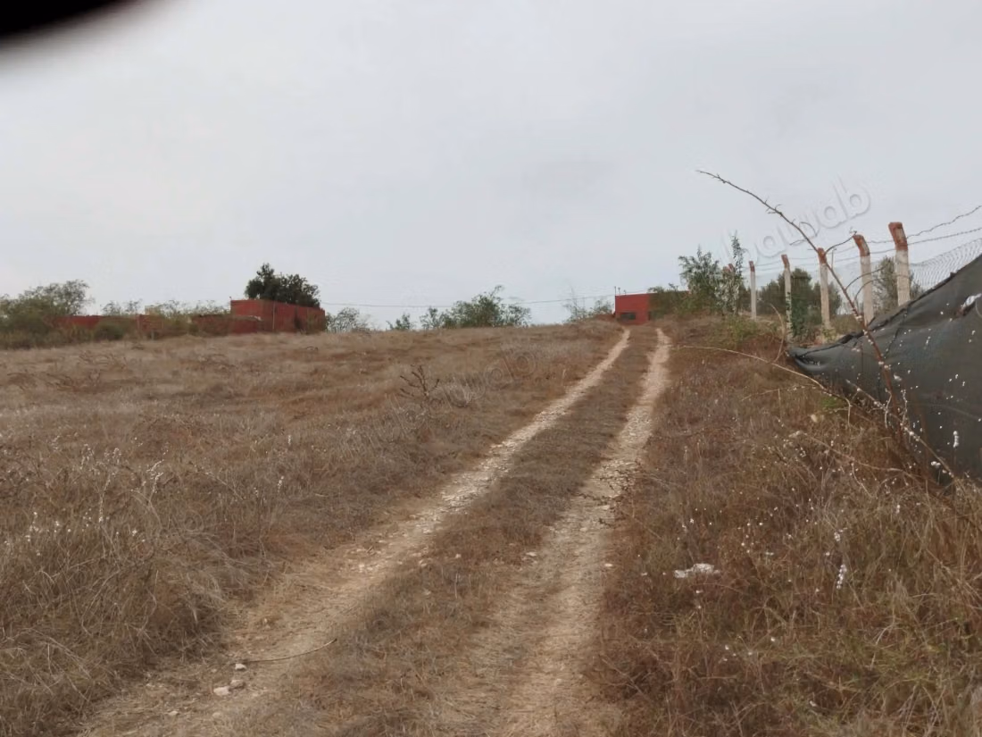 Ferme à vendre à tlat ouled hamdane 
Superficie 23100 m². Résidence sécurisée