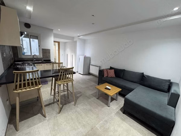 Ennasr 2: appartement s1 meuble a louer