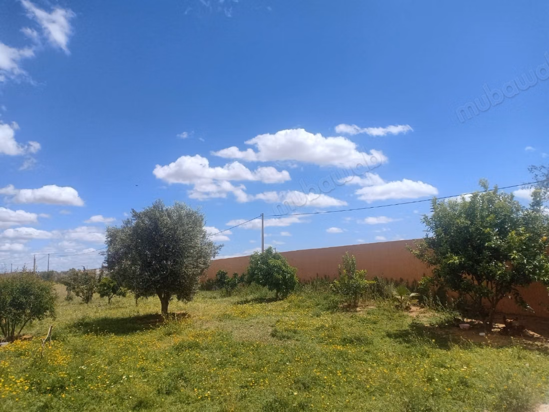 Terrain magnifique à vendre à Tiflet. Superficie 4000 m²