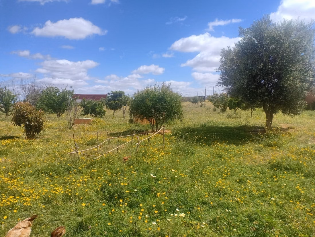 Terrain magnifique à vendre à Tiflet. Superficie 4000 m²