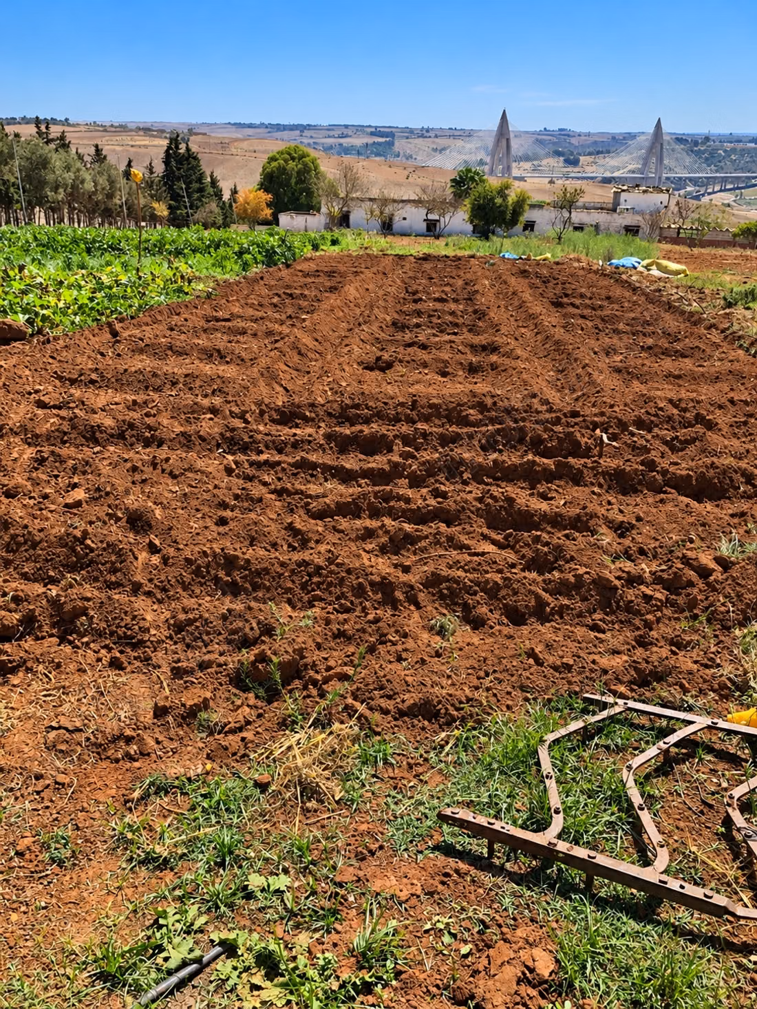 Fattoria in vendita a Sala el Jadida. 2,18 ettari