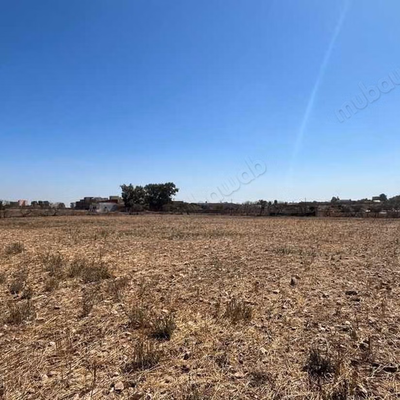 Terrain agricole à Vendre de 9660.0 m² à Dar Bouazza,
Tamaris2