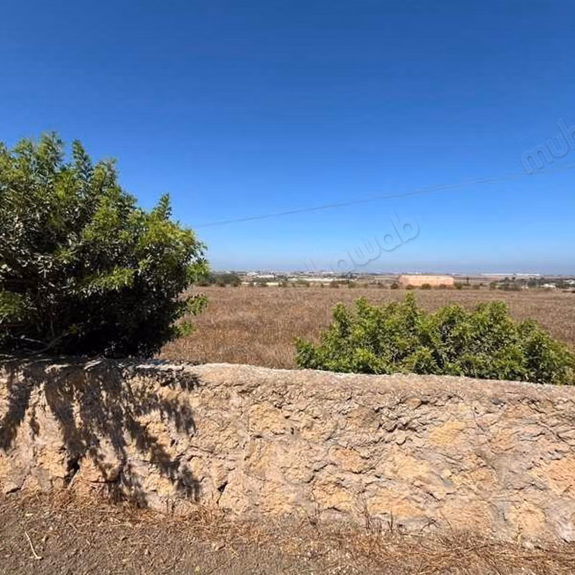 Terrain agricole à Vendre de 9660.0 m² à Dar Bouazza,
Tamaris2