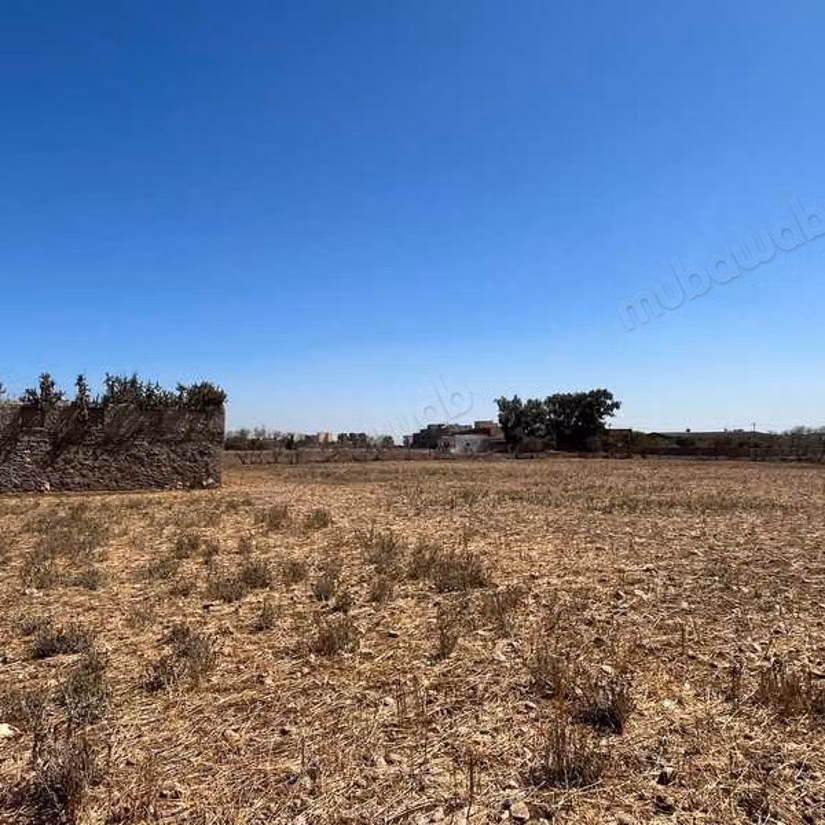 Terrain agricole à Vendre de 9660.0 m² à Dar Bouazza,
Tamaris2