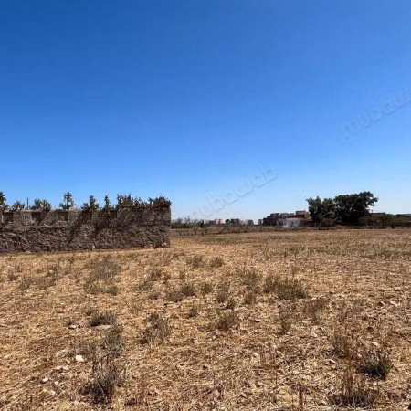 Terrain agricole à Vendre de 9660.0 m² à Dar Bouazza,
Tamaris2