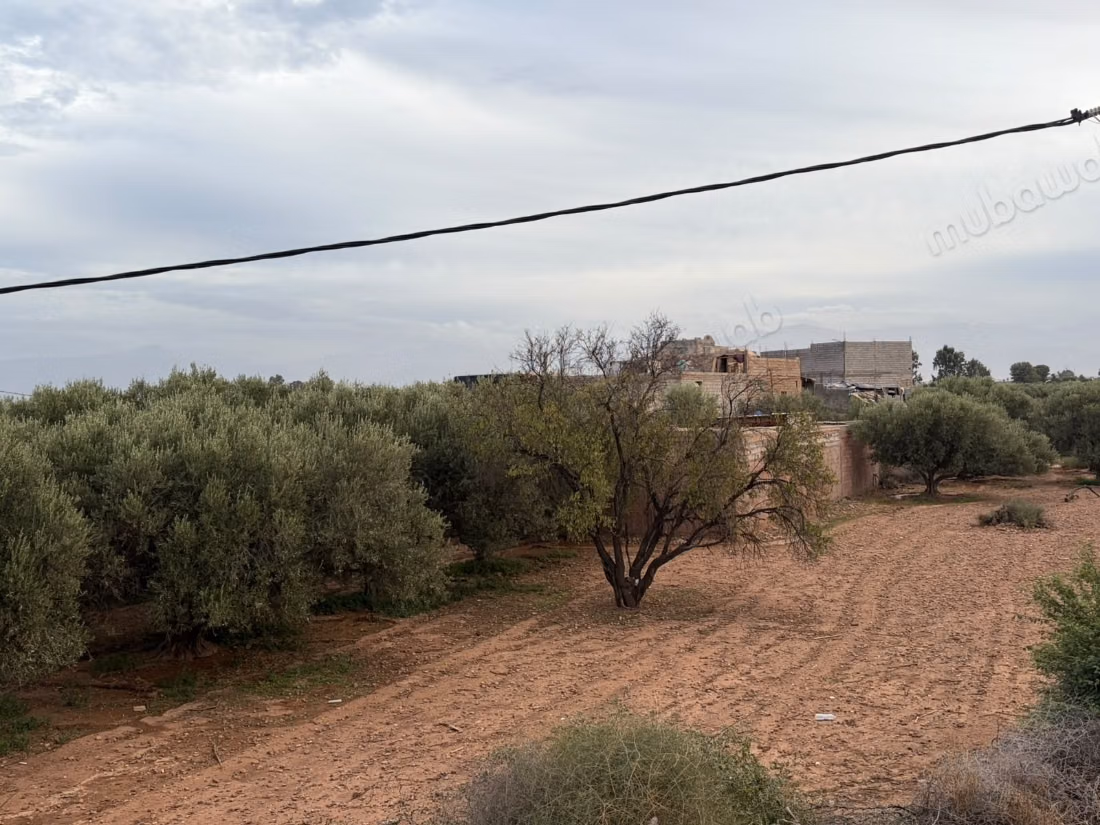 House on Ourika Road, next to Bladna - for rent