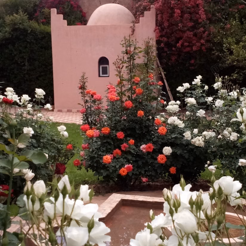 Villa authentique – 500m² à Route de Ouarzazate