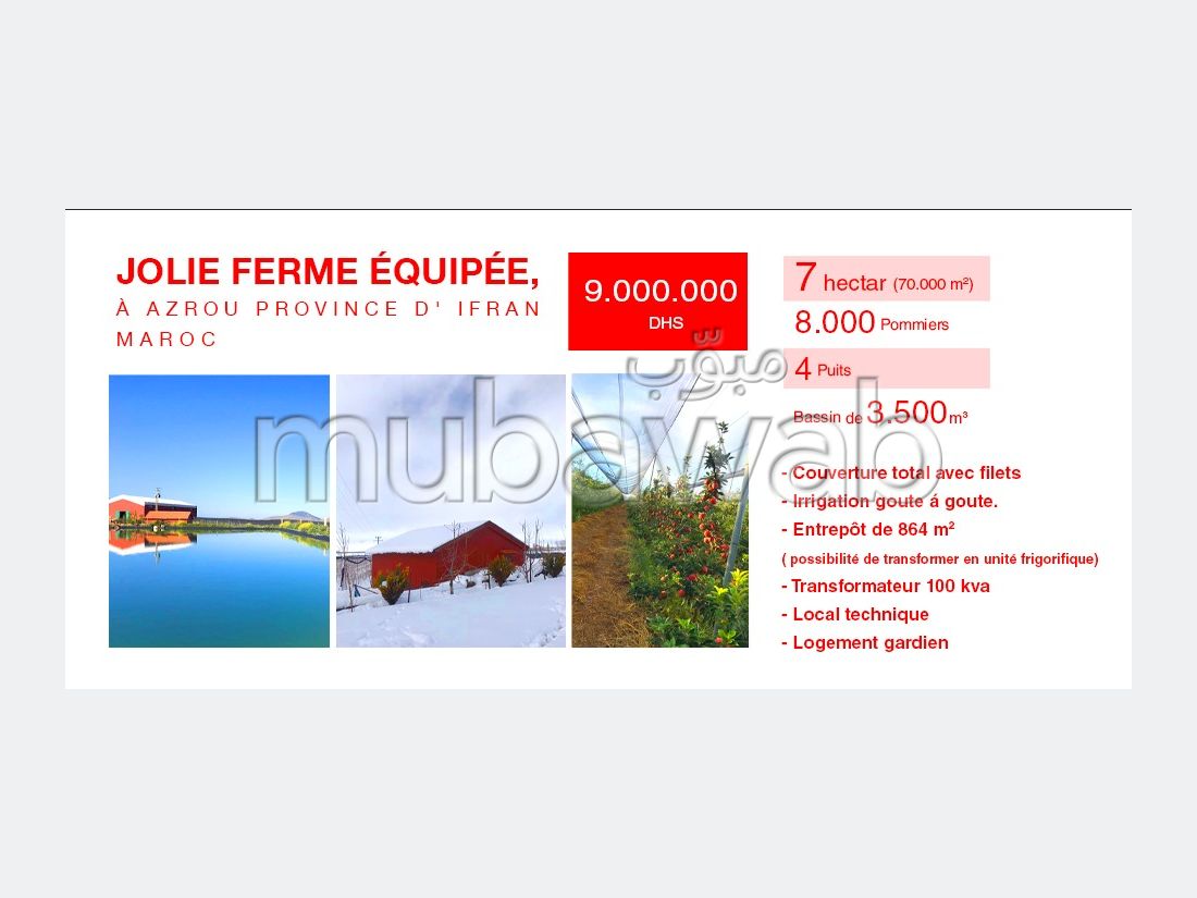 Ferme Azrou Mubawab Ferme Azrou Mubawab