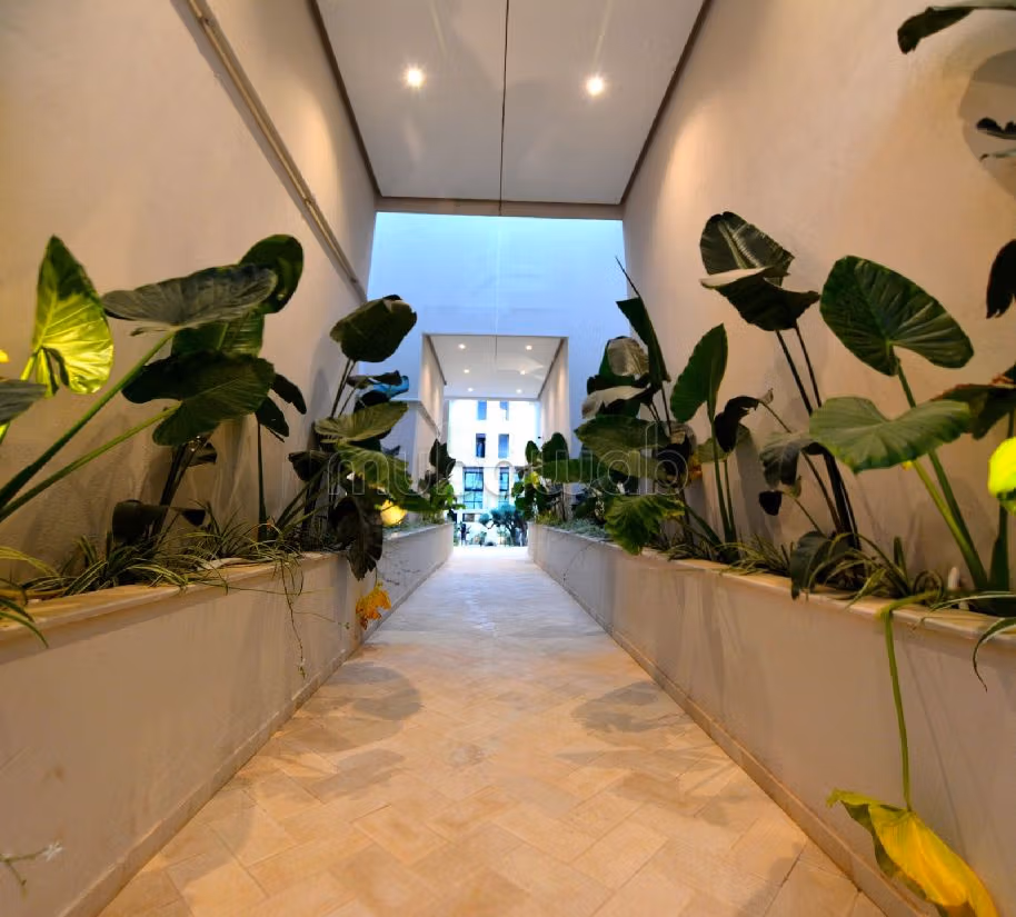 Opera Garden - Bhar Lazreg
